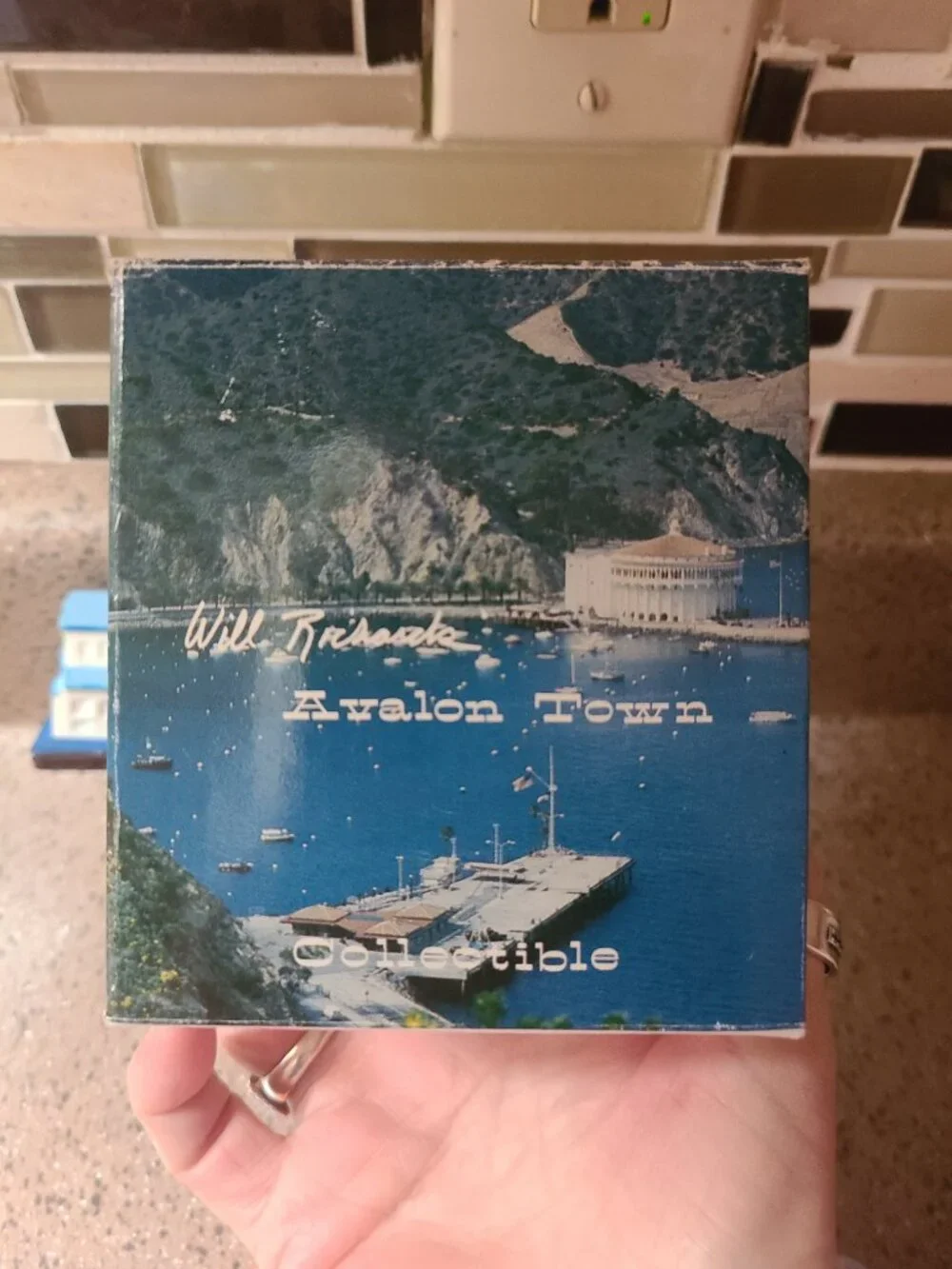 VTG The Pier & Holly Hill House Night Light Catalina Island Will Richards Avalon